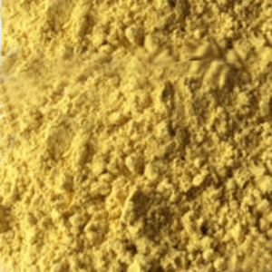 GARLIC IDRO POWDER