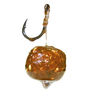 ASPIS PAPAYA-CRAB