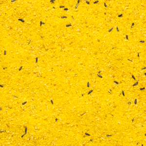 PASTONCINO GIALLO