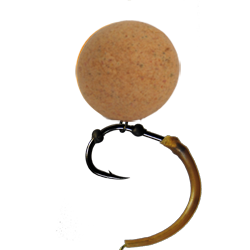ASPIS </br>PAPAYA CRAB