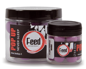 FLUO PURPLE </br>COOL BERRY