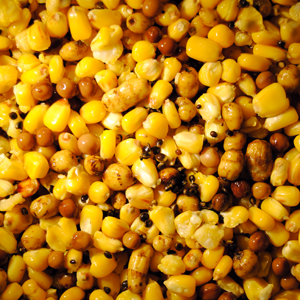 MULTISEED