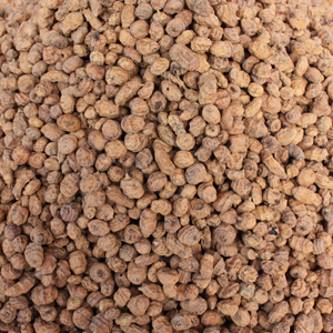 TIGERNUTS SECCHE